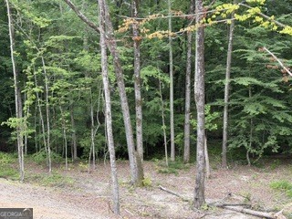 2180 Dunn Road Property Photo 12