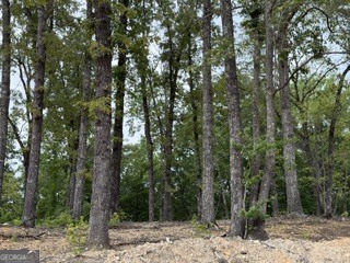 2180 Dunn Road Property Photo 14