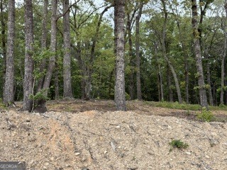 2180 Dunn Road Property Photo 16
