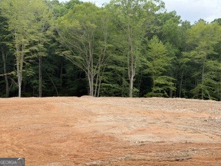 2180 Dunn Road Property Photo 19