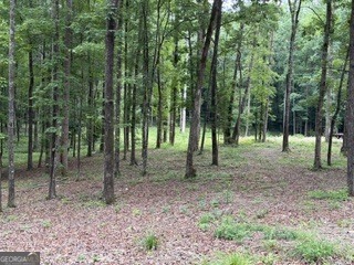 2180 Dunn Road Property Photo 21