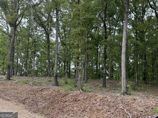 2180 Dunn Road Property Photo 22