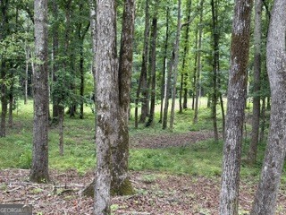 2180 Dunn Road Property Photo 23