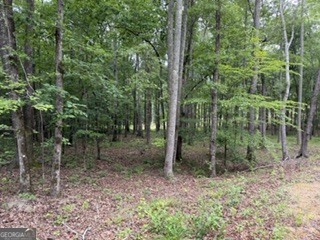 2180 Dunn Road Property Photo 24