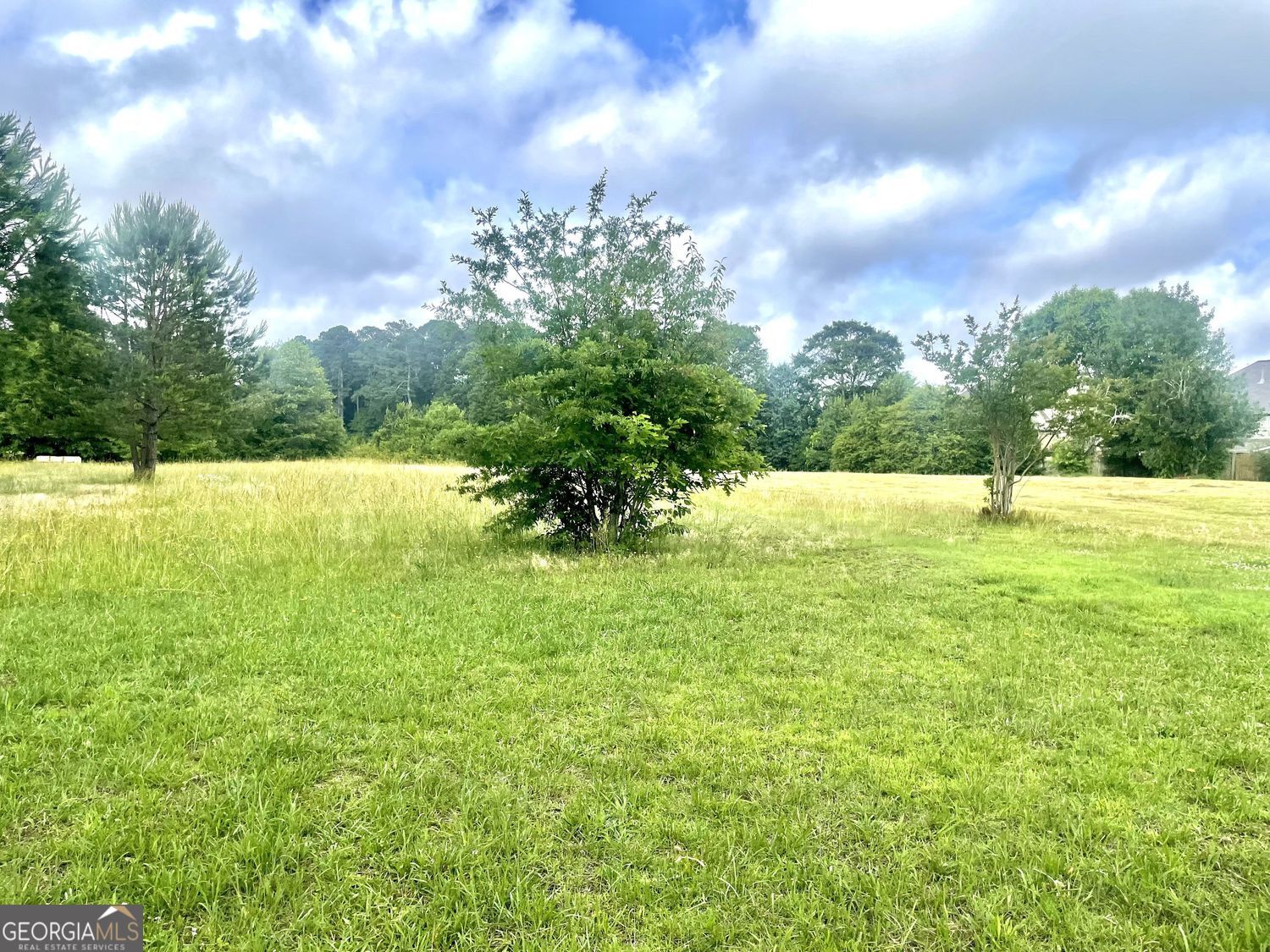 3095 Oak Grove Road Property Photo 3
