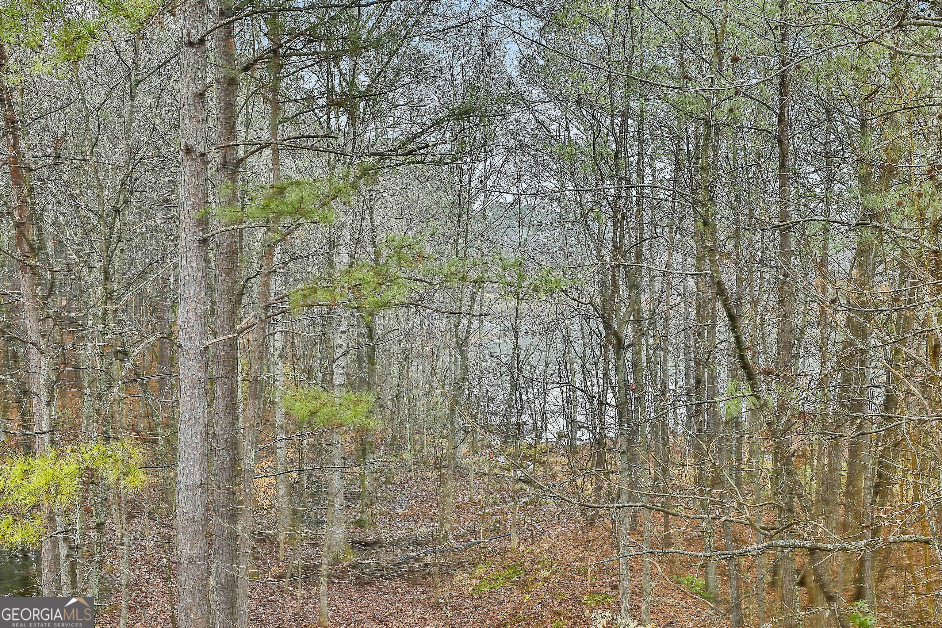 120 Meadow View Glen Property Photo 45