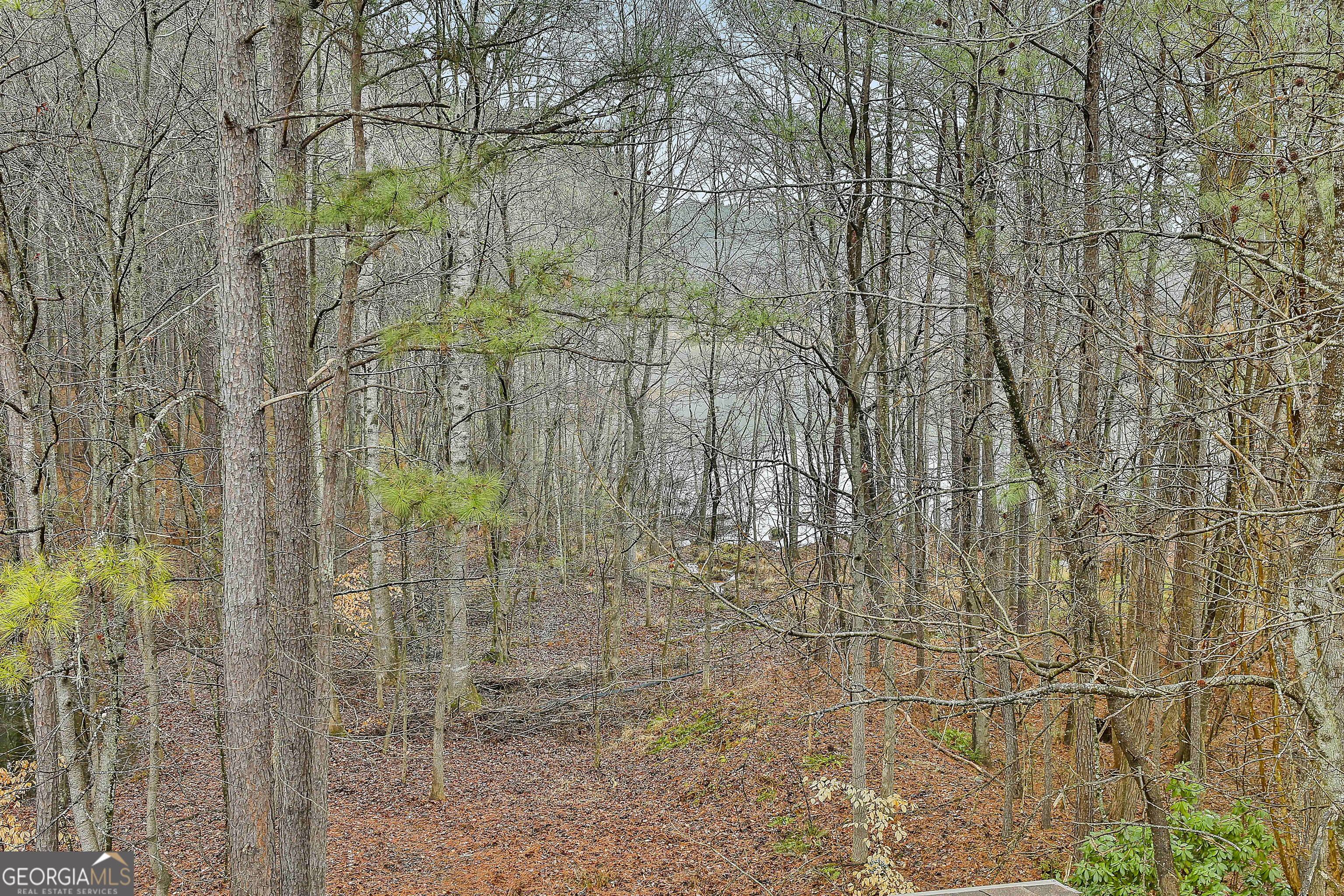 120 Meadow View Glen Property Photo 46