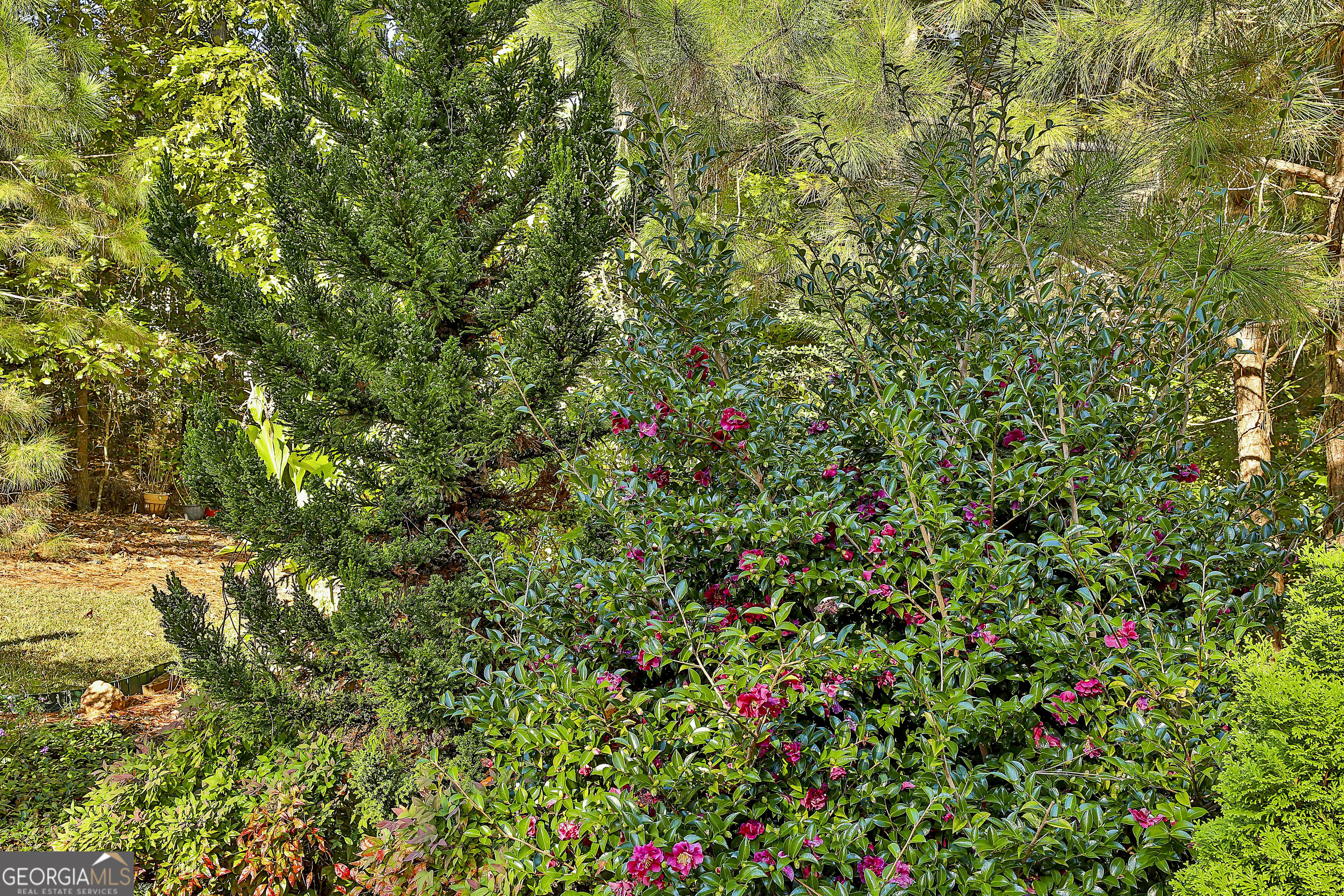 120 Meadow View Glen Property Photo 67