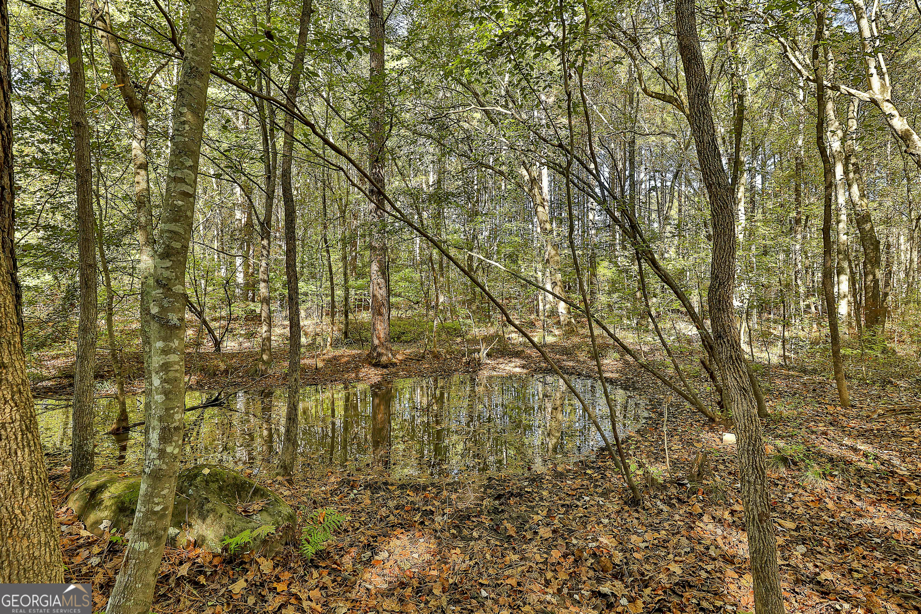 120 Meadow View Glen Property Photo 74