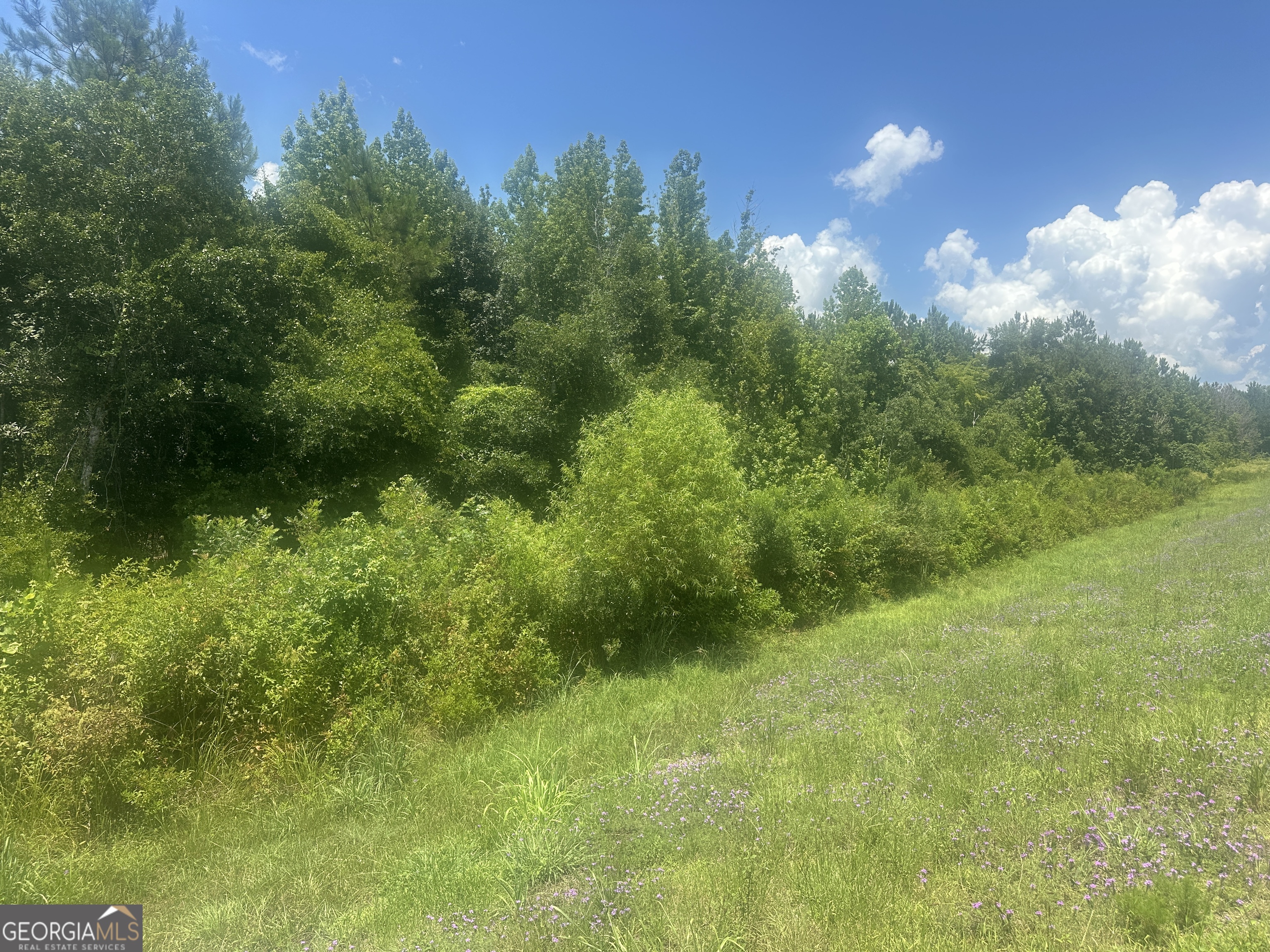 1475 Old Us Hwy Highway 1 Property Photo 1