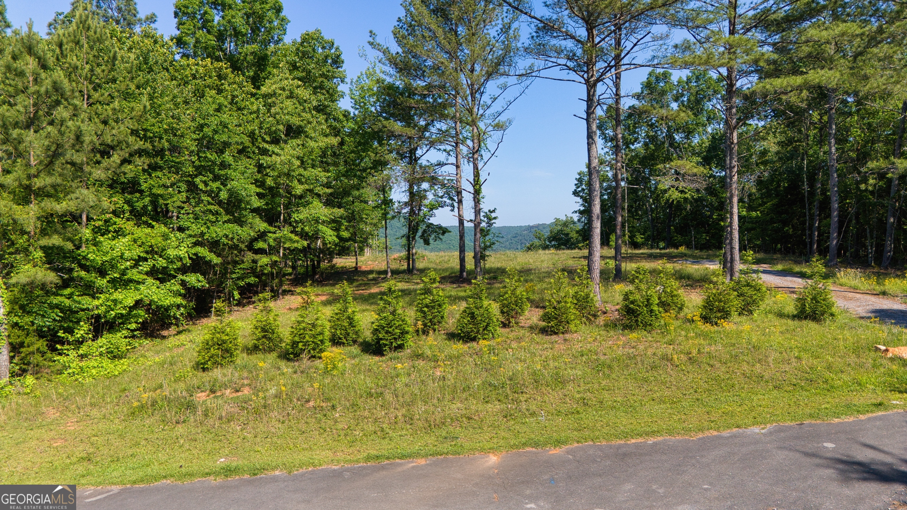 1450 County Rd 137 Property Photo 1