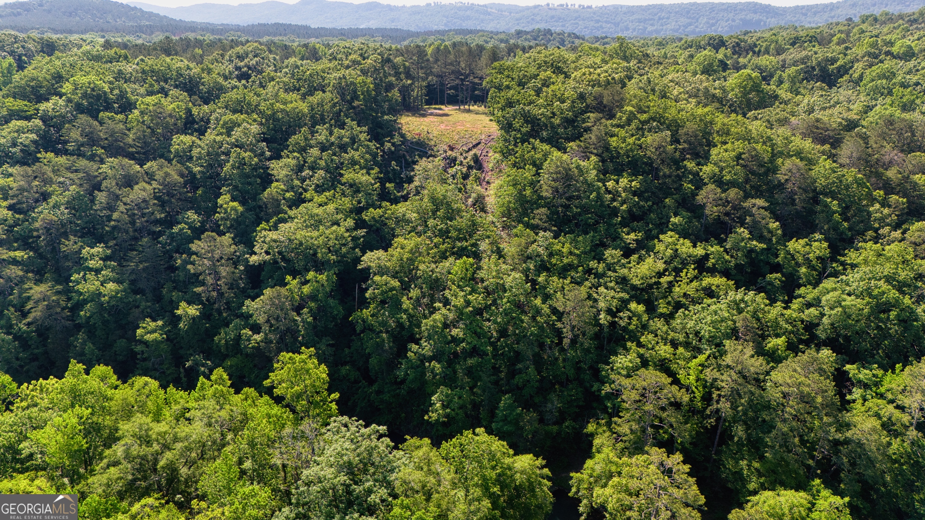 1450 County Rd 137 Property Photo 2