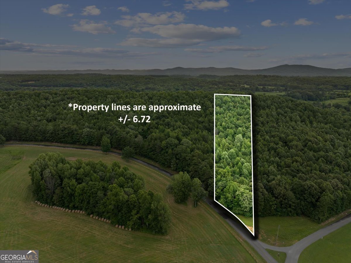 0 Fricks Gap Road Lot 5 Property Photo 1