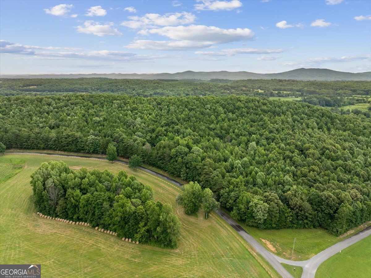 0 Fricks Gap Road Lot 5 Property Photo 2