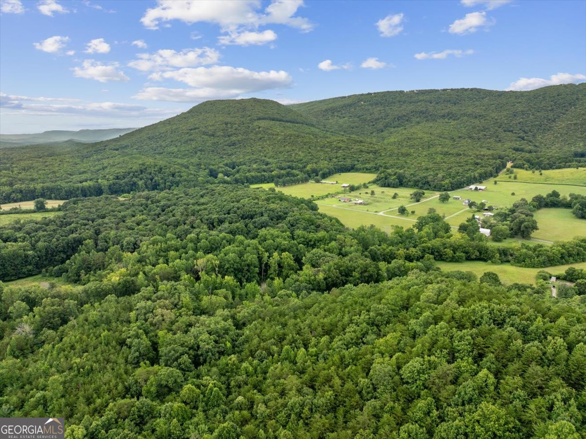0 Fricks Gap Road Lot 5 Property Photo 3