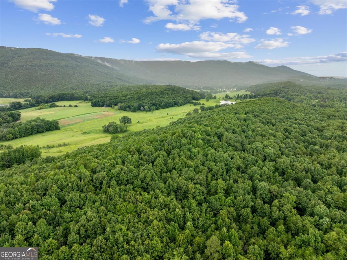0 Fricks Gap Road Lot 5 Property Photo 4
