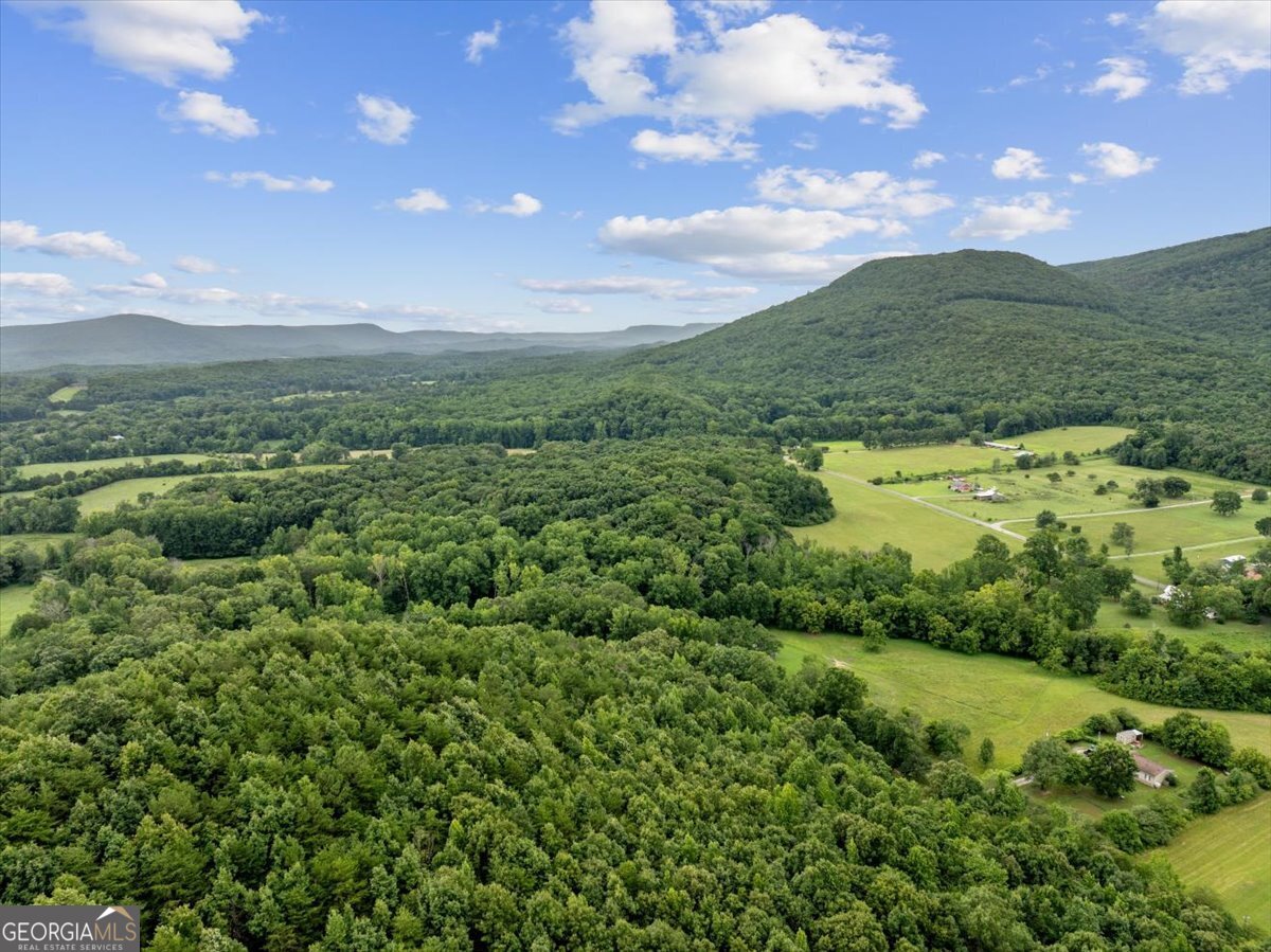 0 Fricks Gap Road Lot 5 Property Photo 5