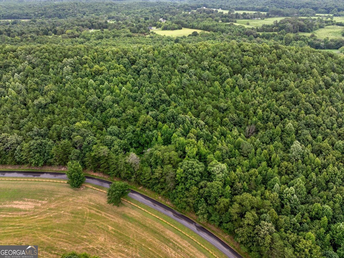 0 Fricks Gap Road Lot 5 Property Photo 6