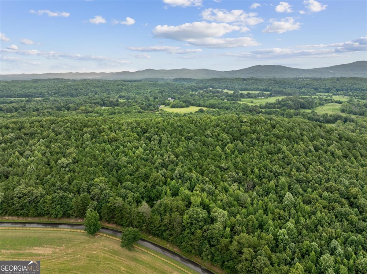 0 Fricks Gap Road Lot 5 Property Photo 7