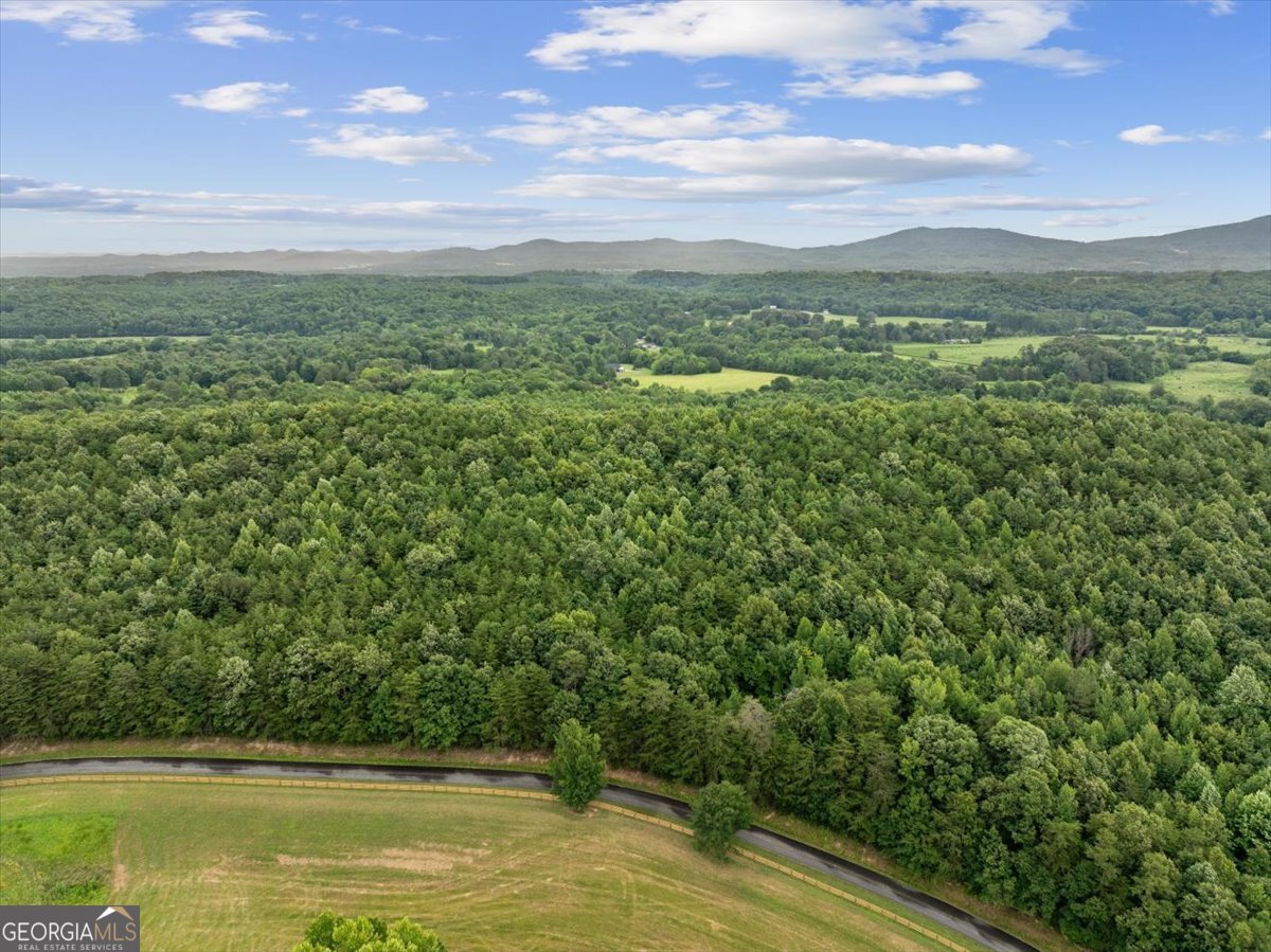 0 Fricks Gap Road Lot 5 Property Photo 8