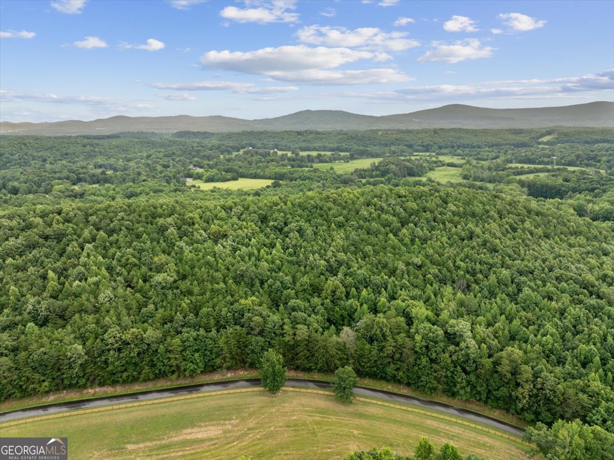 0 Fricks Gap Road Lot 5 Property Photo 9