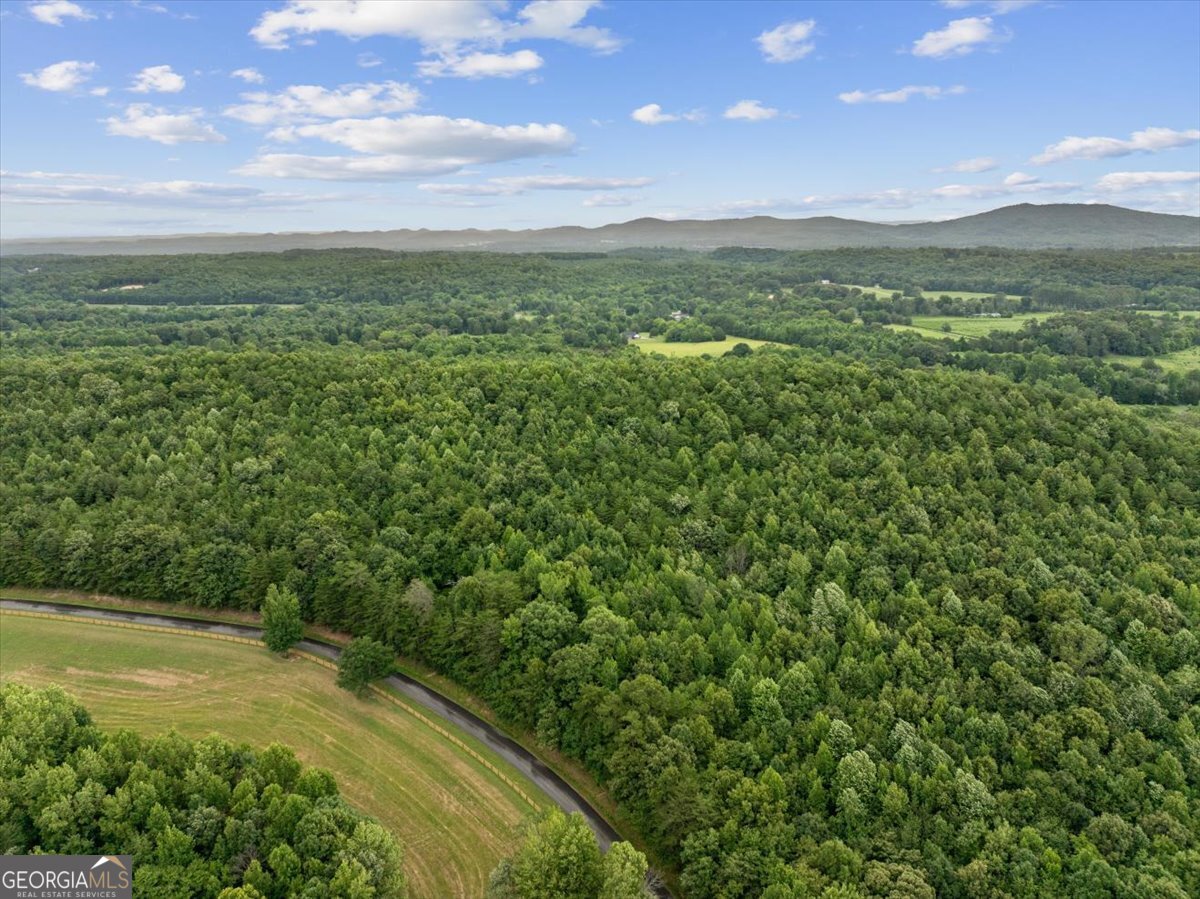 0 Fricks Gap Road Lot 5 Property Photo 10