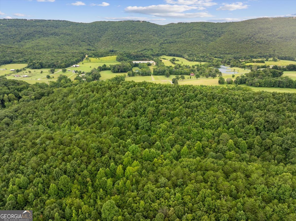 0 Fricks Gap Road Lot 5 Property Photo 11