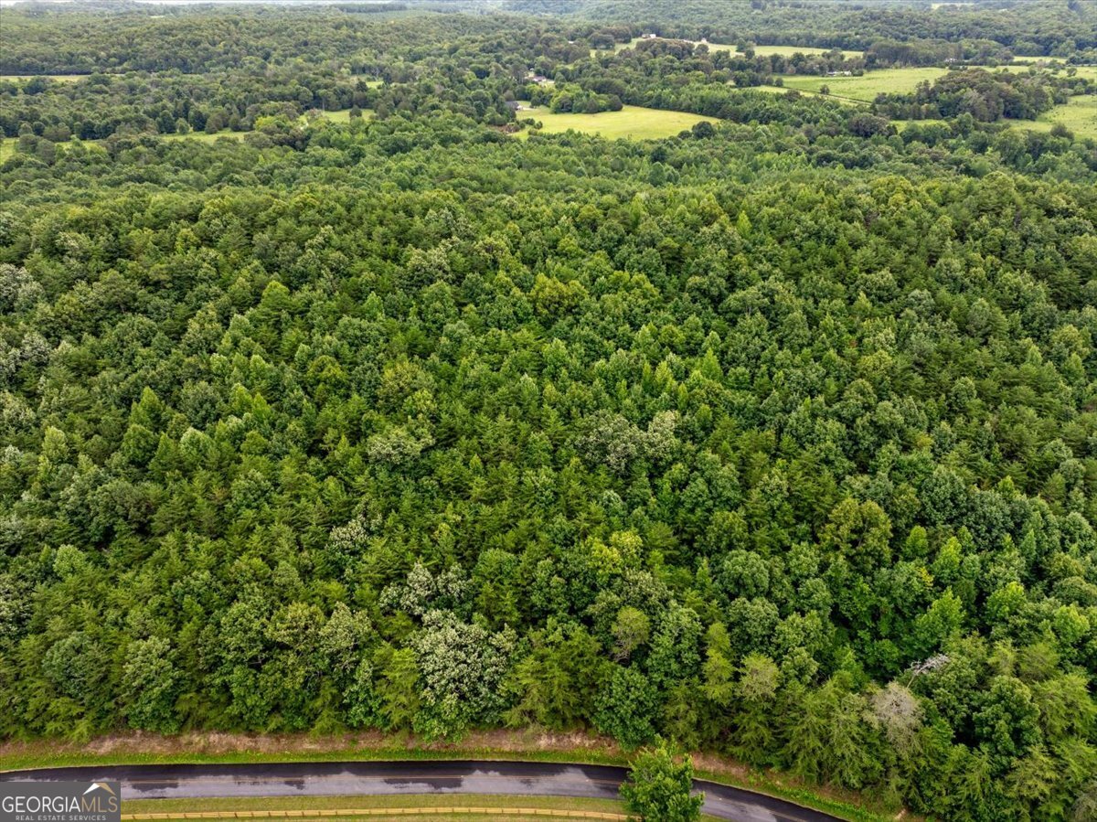 0 Fricks Gap Road Lot 5 Property Photo 12