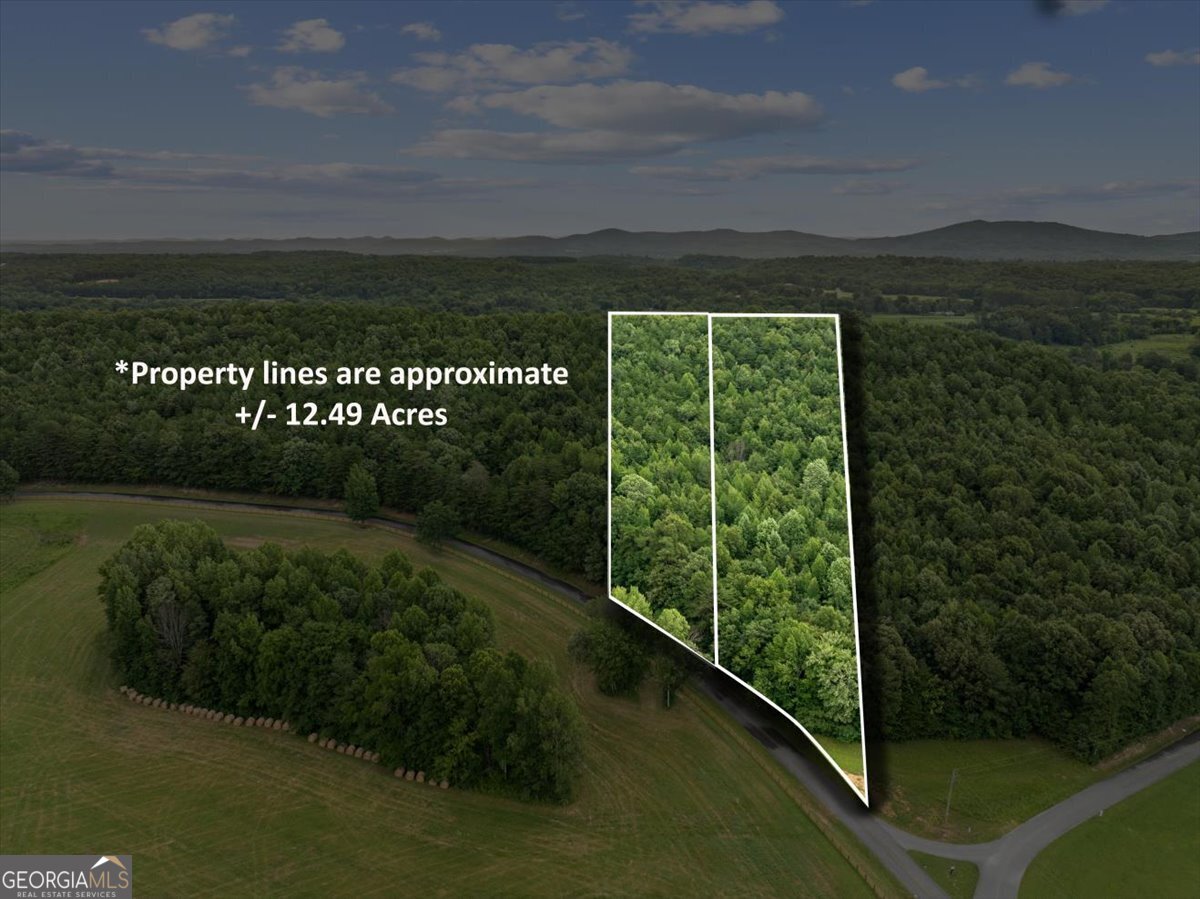 0 Fricks Gap Road Lot 5 Property Photo 13