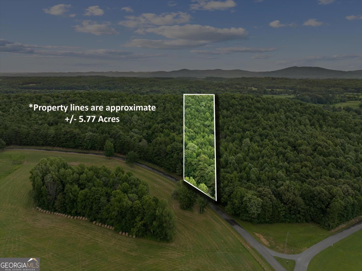 0 Fricks Gap Road Lot 4 Property Photo 1