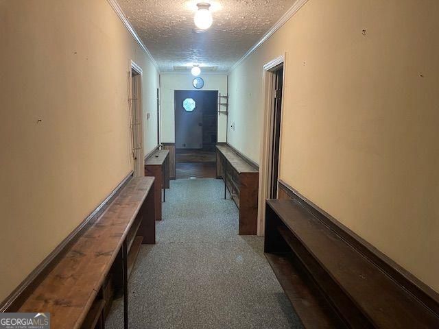 5437 Hamby Road Property Photo 6