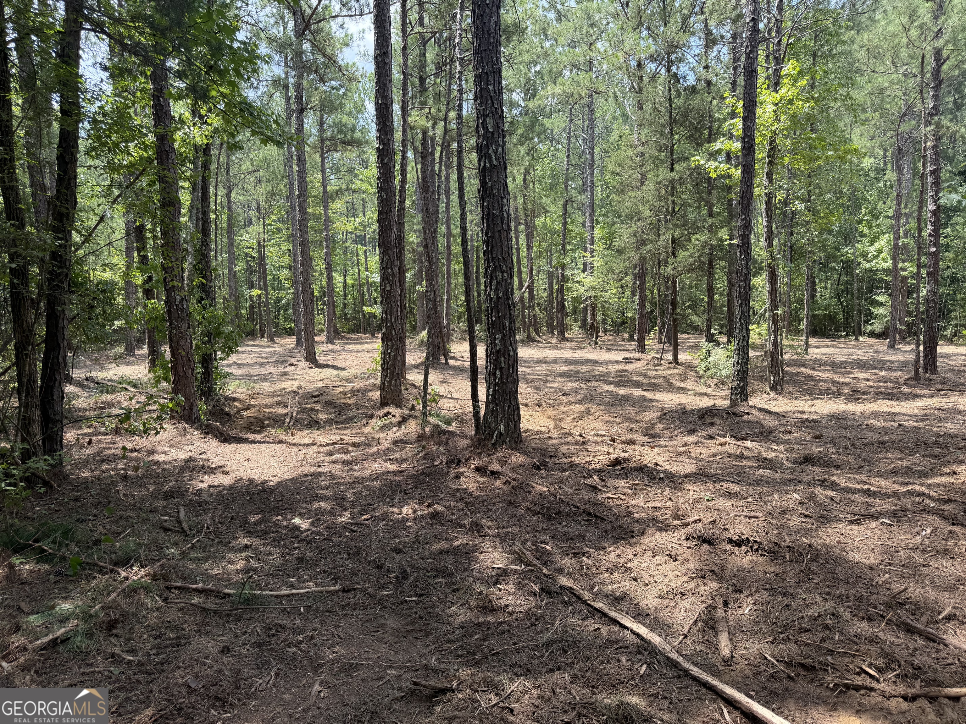 0 S Highway 92 Property Photo 3