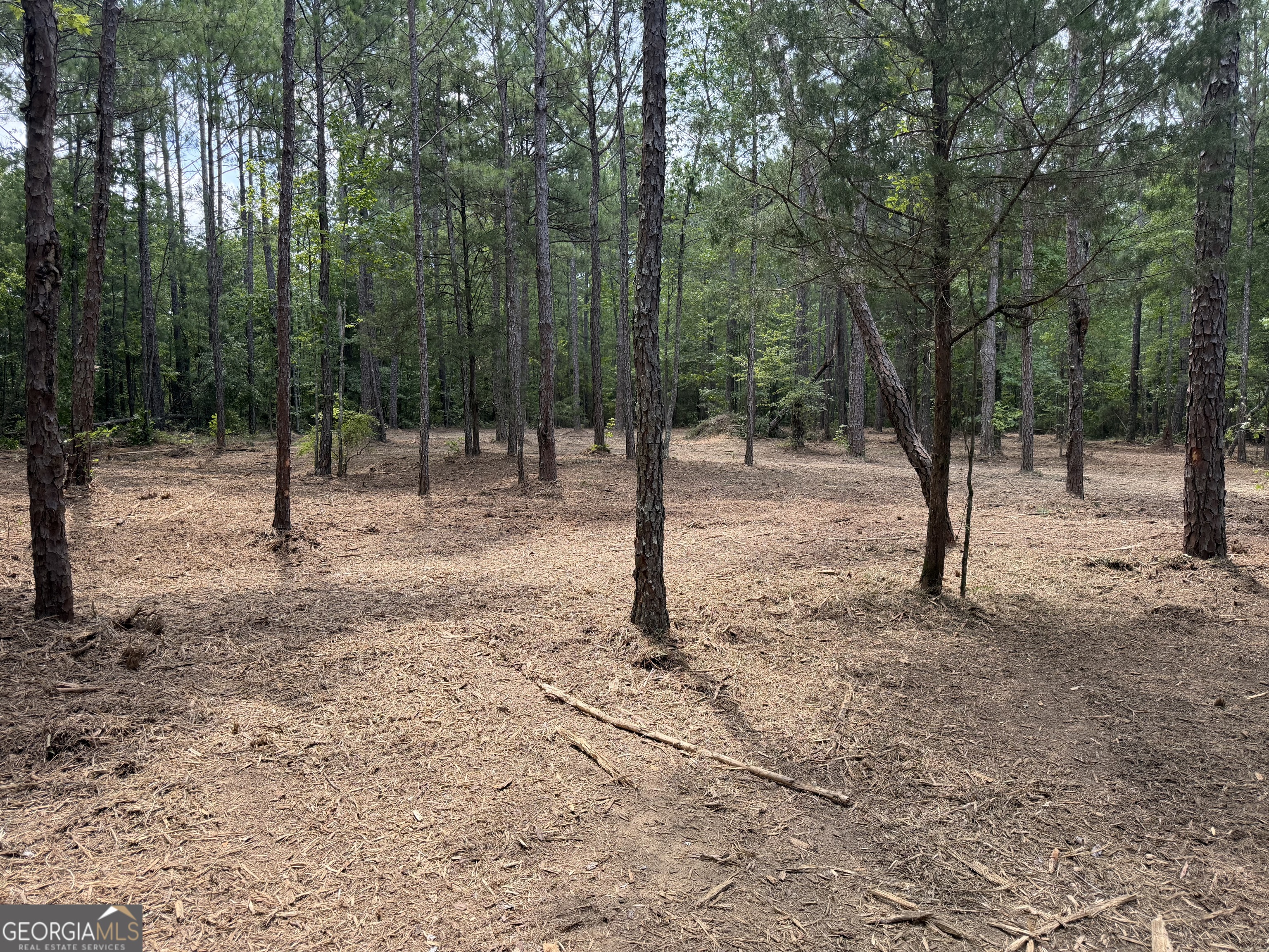 0 S Highway 92 Property Photo 4