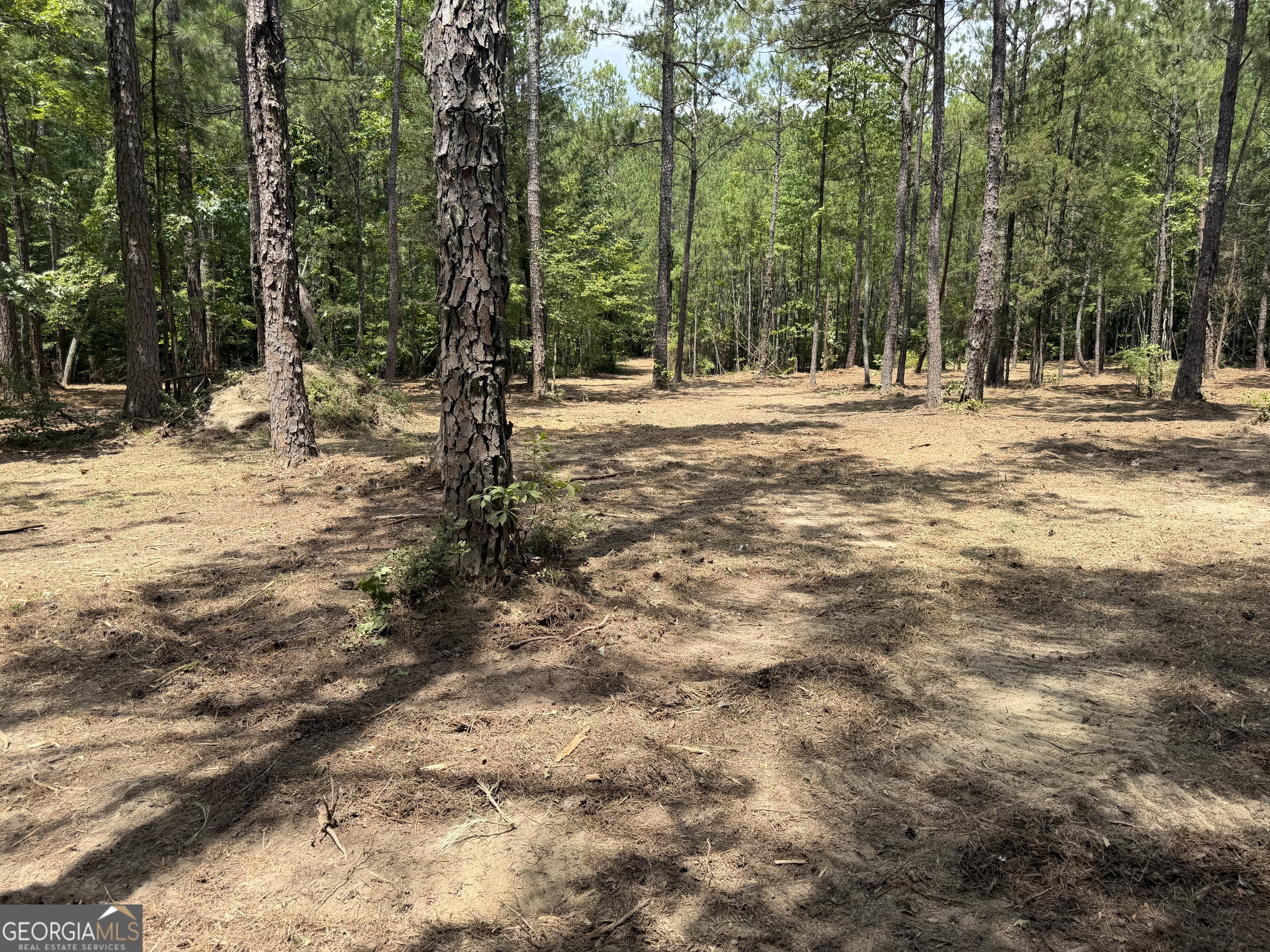 0 S Highway 92 Property Photo 8