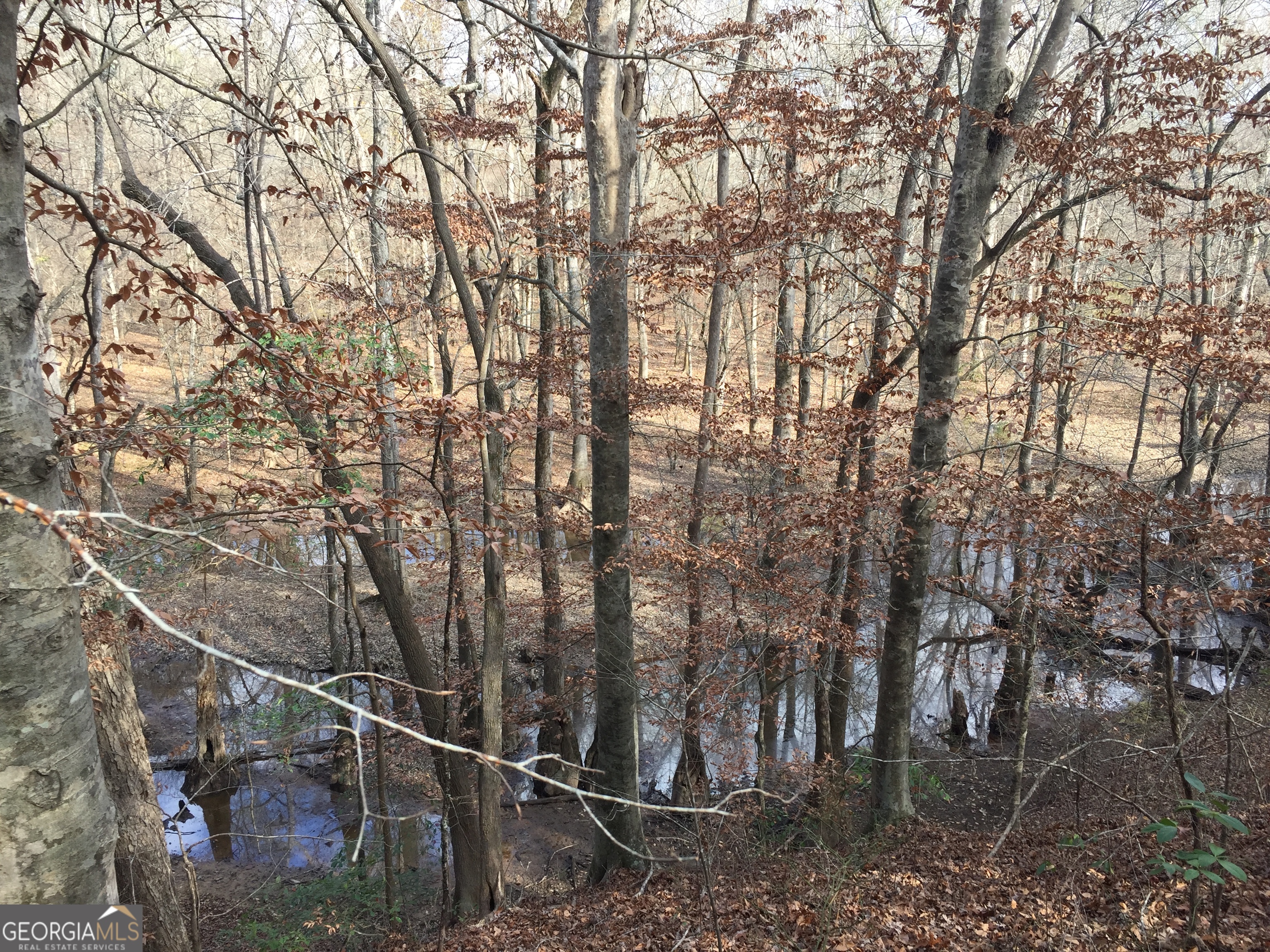 0 S Highway 92 Property Photo 10