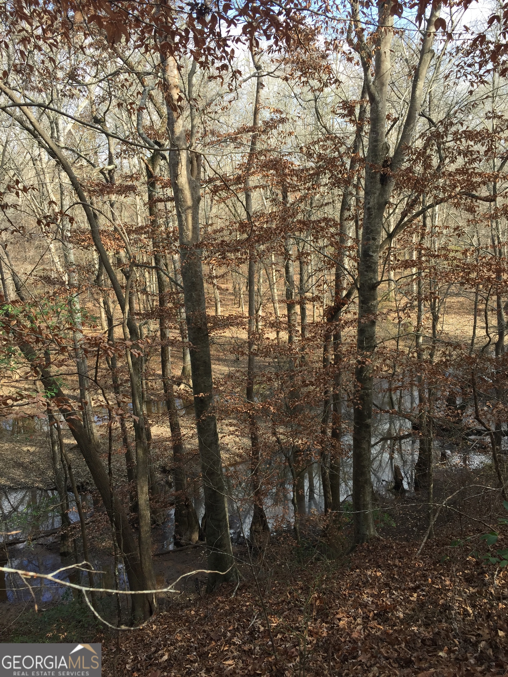 0 S Highway 92 Property Photo 11