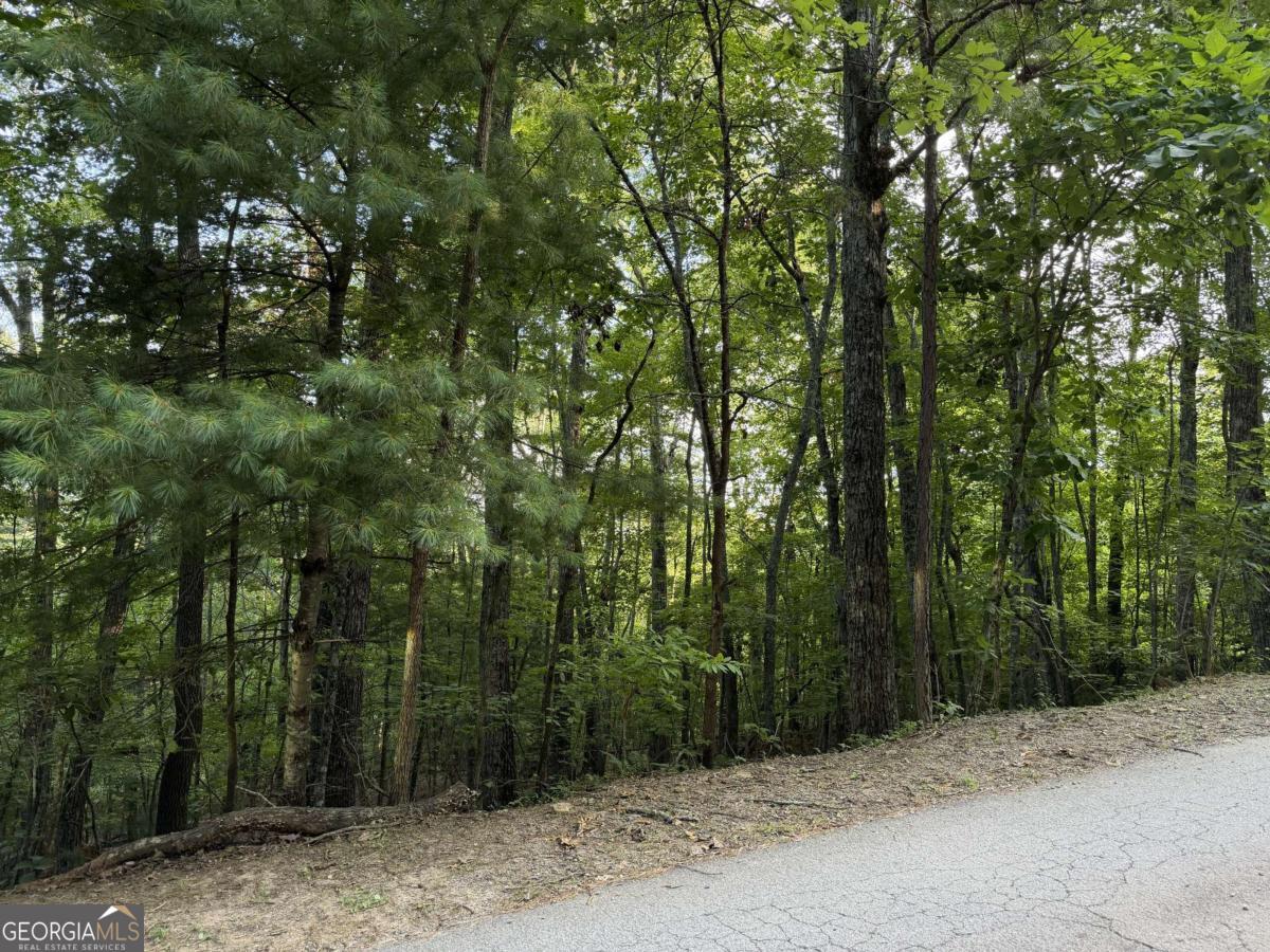 Lot 46 Fox Run Drive # 46 Property Photo 1