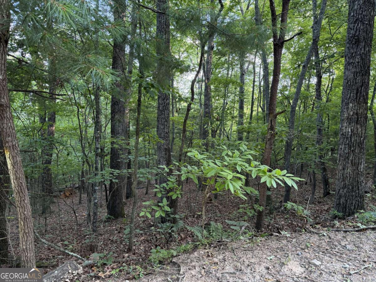 Lot 46 Fox Run Drive # 46 Property Photo 3