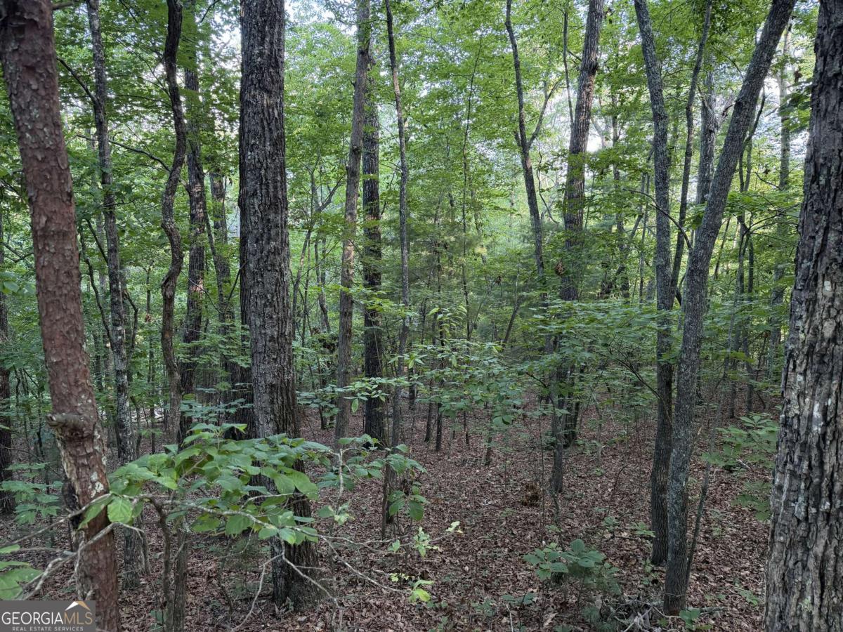 Lot 46 Fox Run Drive # 46 Property Photo 4