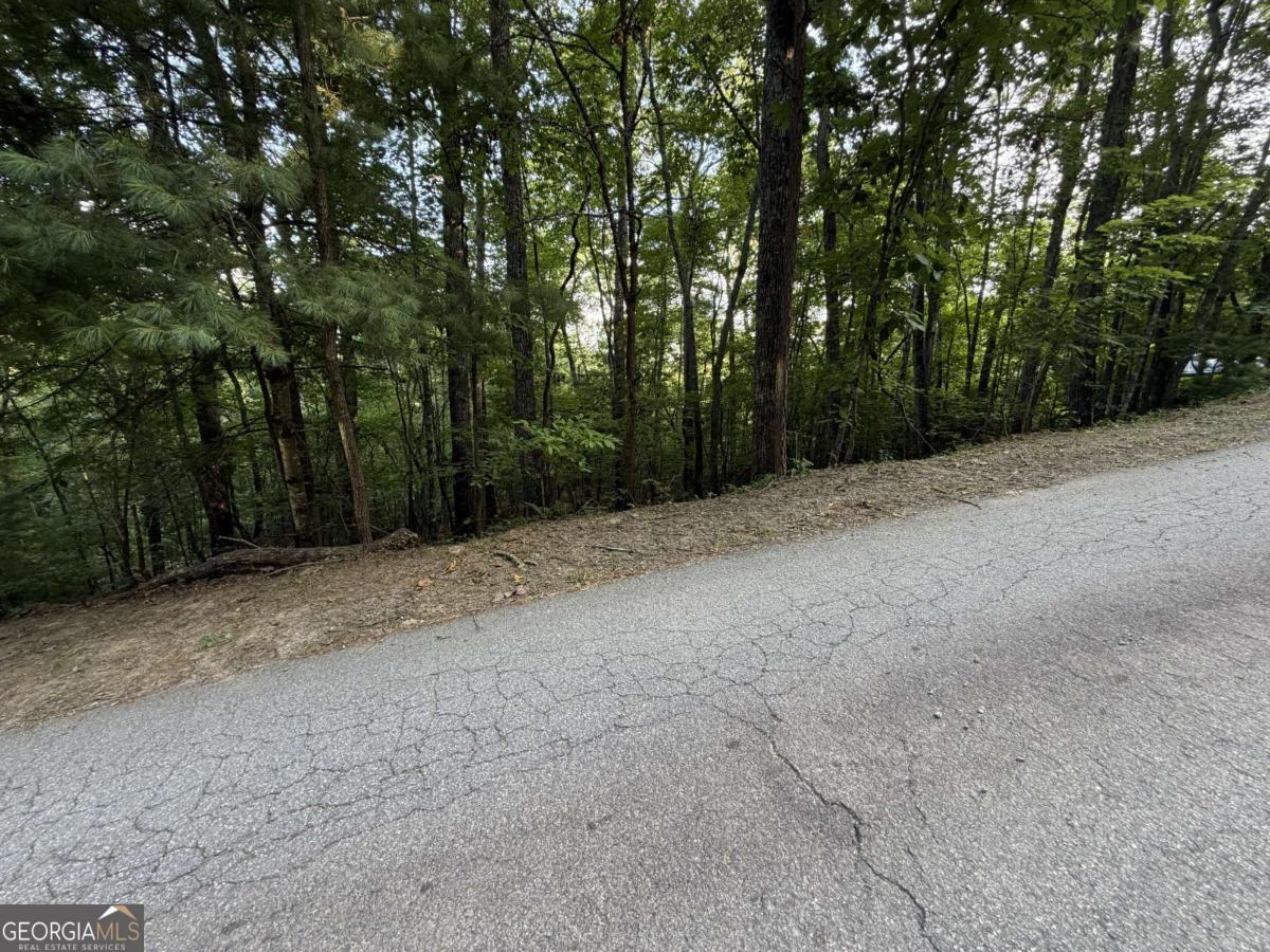 Lot 46 Fox Run Drive # 46 Property Photo 5