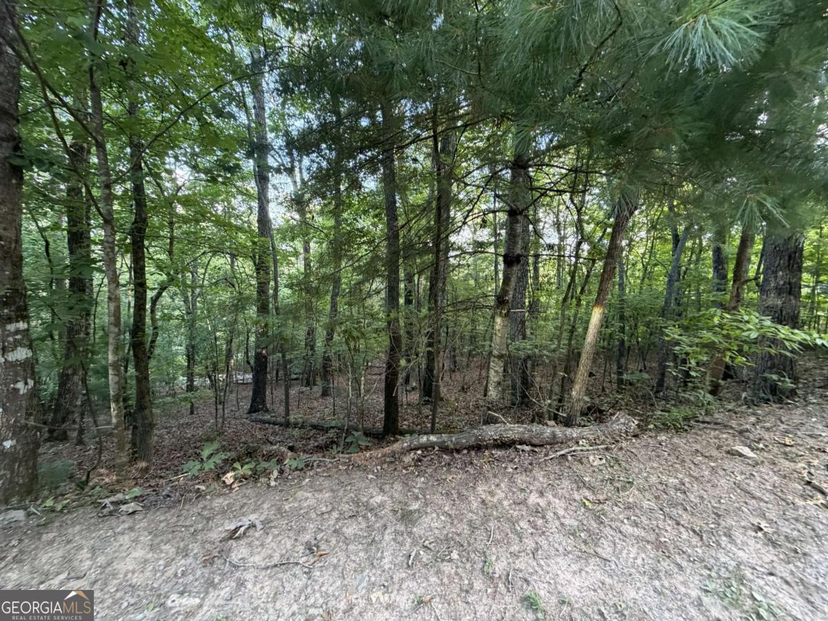 Lot 46 Fox Run Drive # 46 Property Photo 6