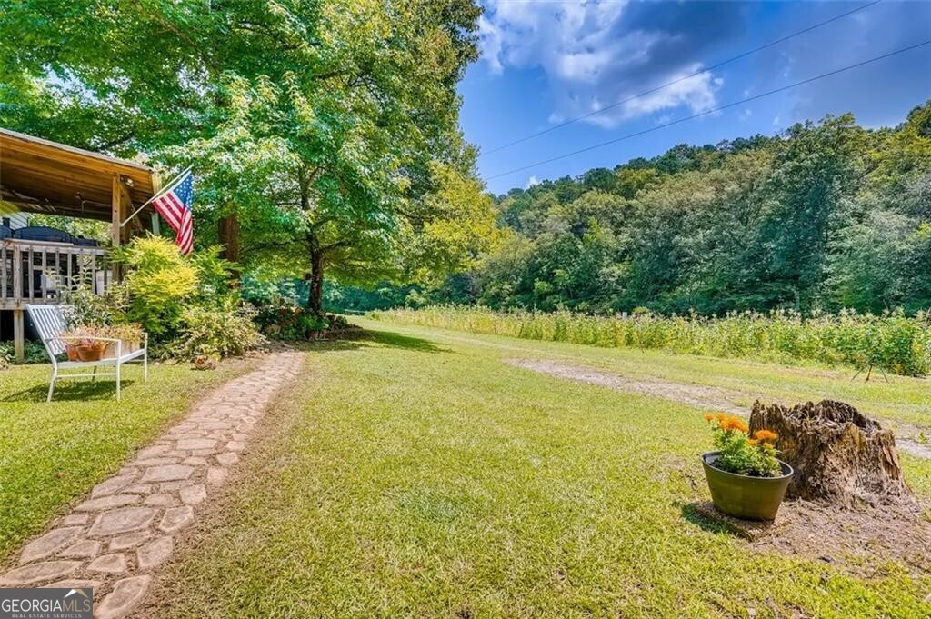 3397 Knox Bridge Highway Property Photo 5