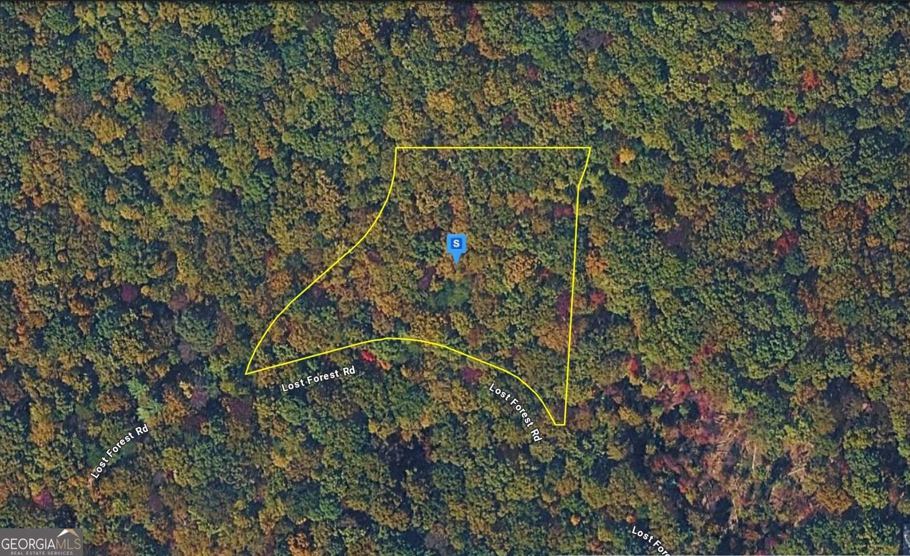 935 Lost Forest Road Property Photo 1