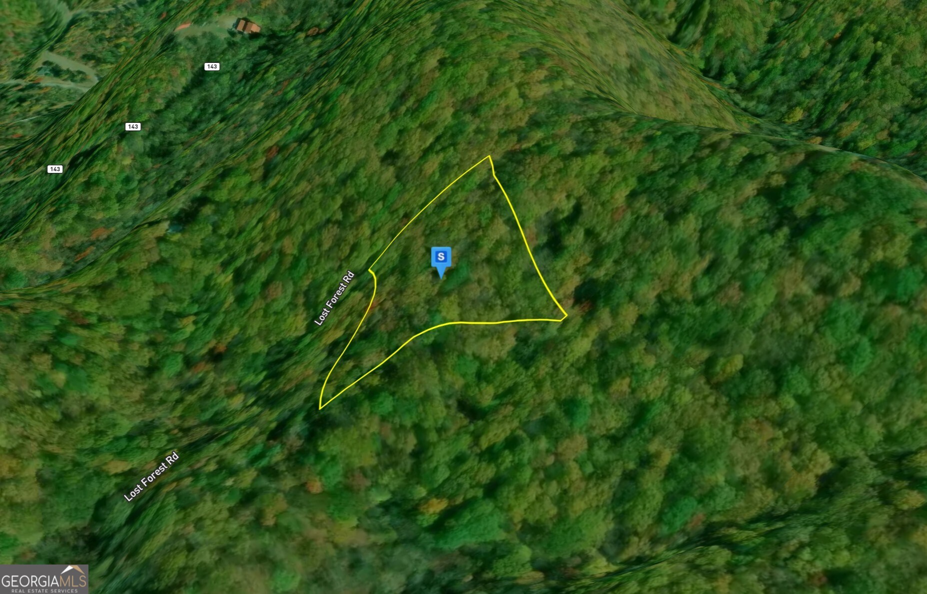 935 Lost Forest Road Property Photo 2