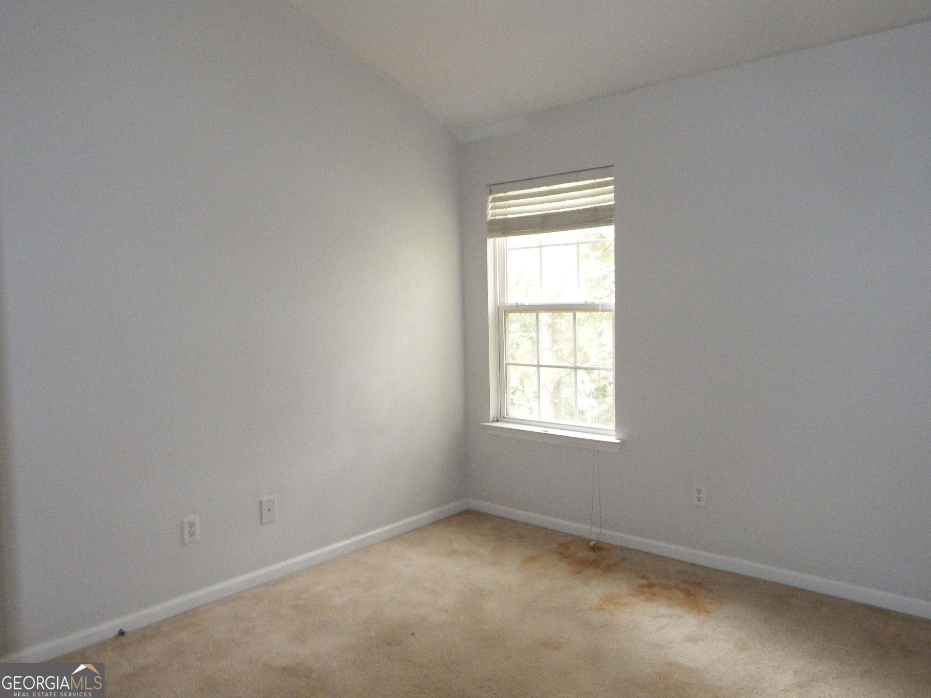 1540 Rogers Preserve Road Property Photo 9