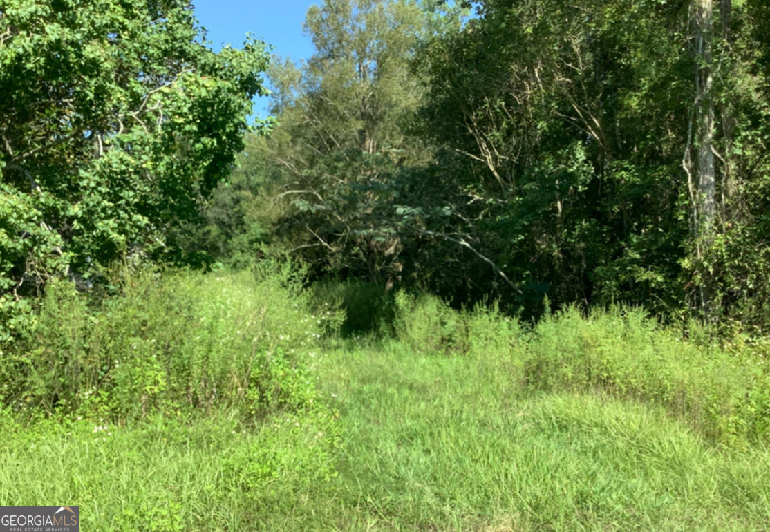 Lot 62 Burnt Fort Road Property Photo 1