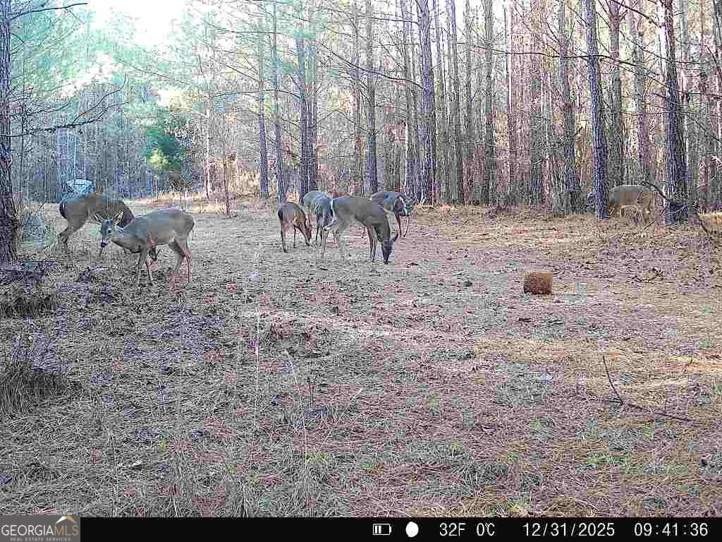 1208 Elberton Road Property Photo 27