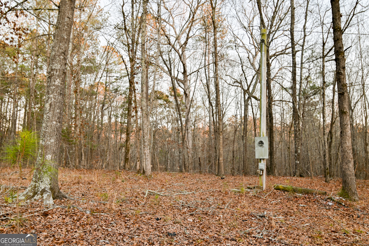 1208 Elberton Road Property Photo 28