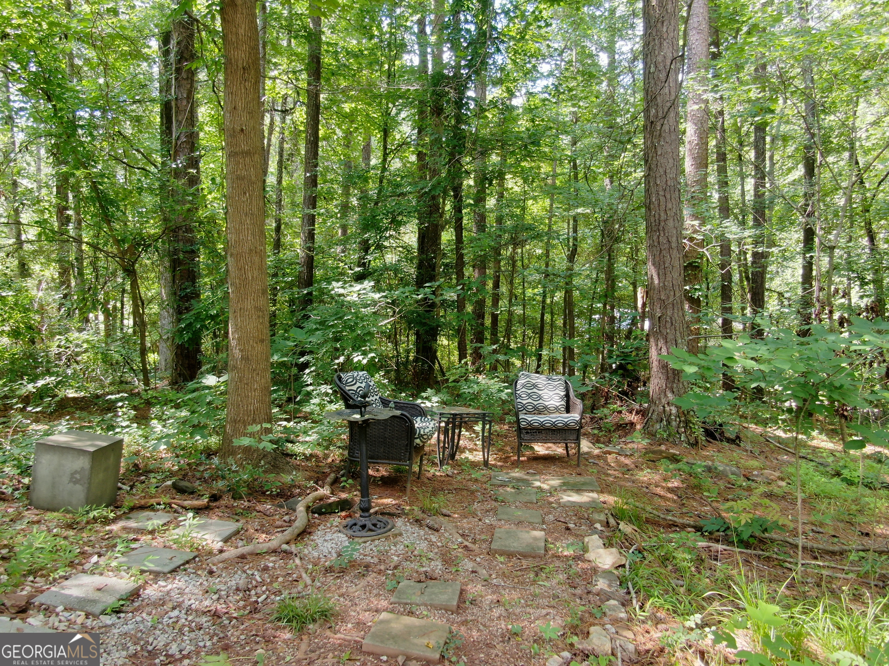 3155 Laura Lane Property Photo 52