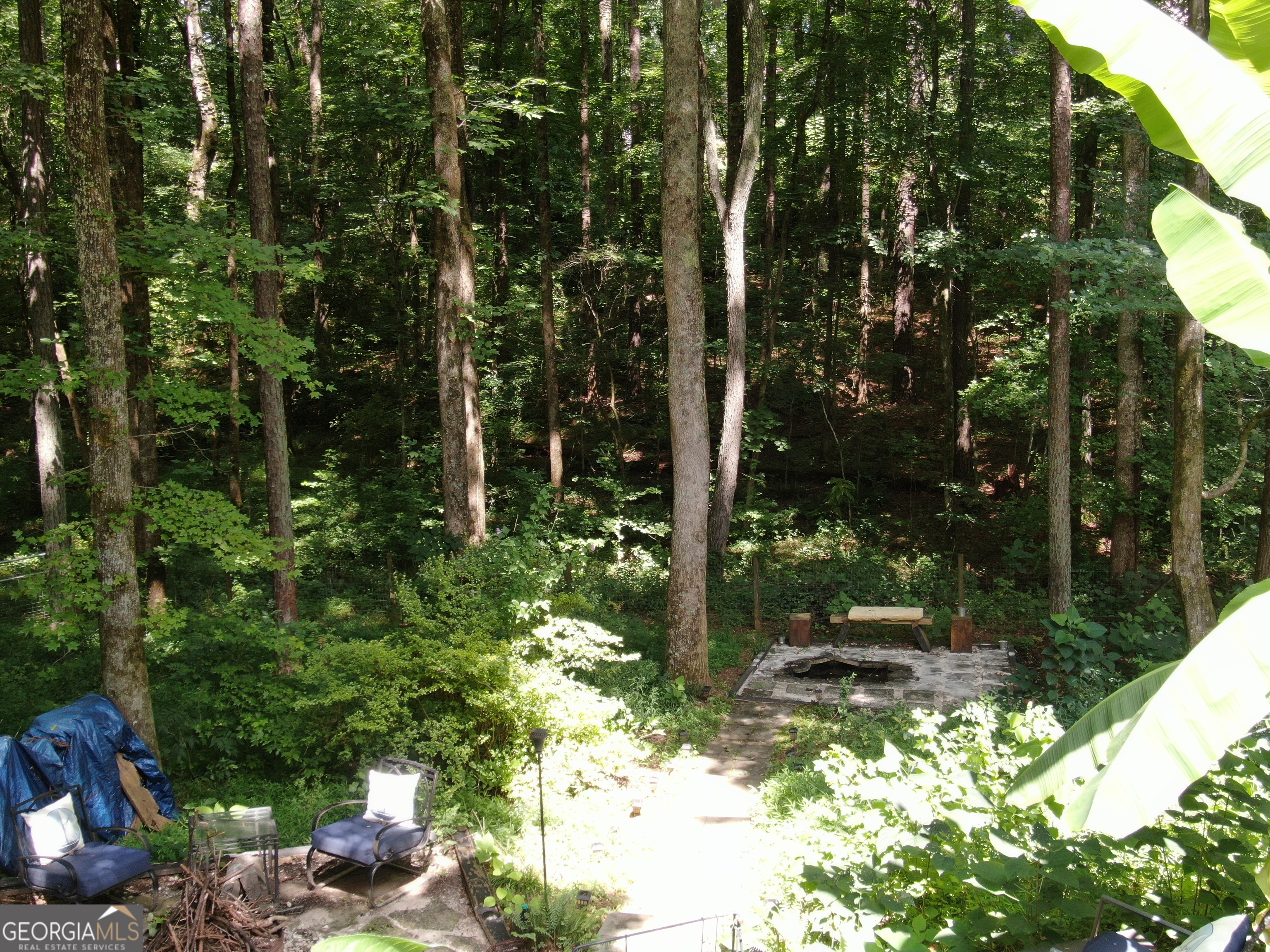 3155 Laura Lane Property Photo 54